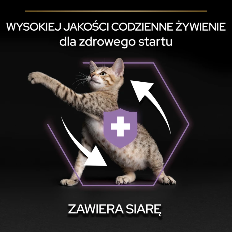 2c4d2a184d0b9e623e43b72979a21363