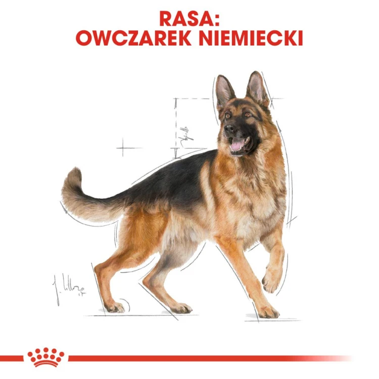 5ac27665da06f1f93d3bc01c859fba92