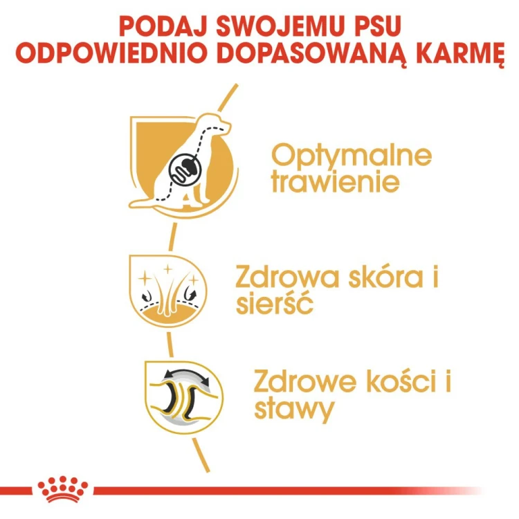 33e778f446a4bb8693d797ed8f5ca23f