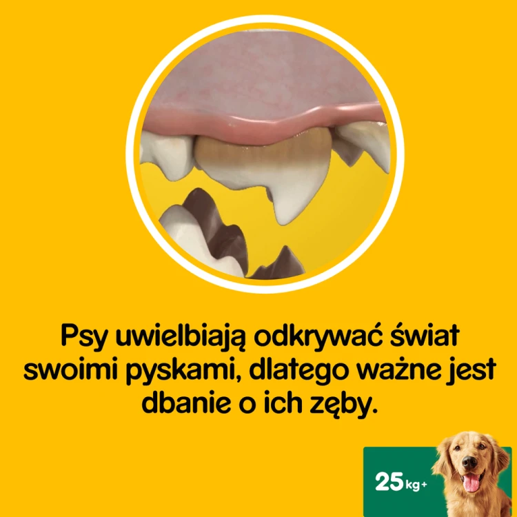 992504e3b41c6d86a749b6d0aeaac689