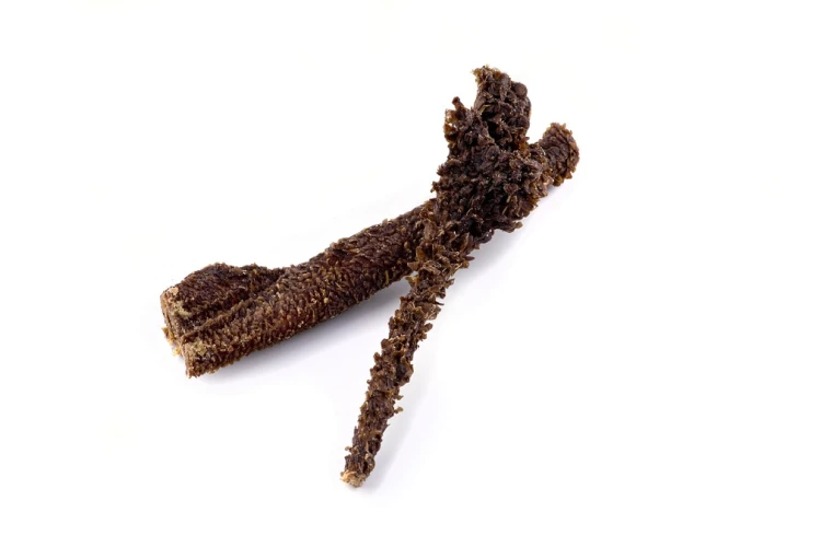 7078653080ed54b2a0e5a3dc7acc040c