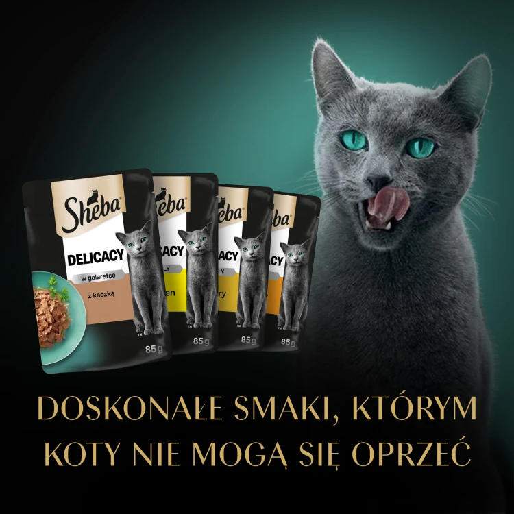 622b39c3c77ce24bf5ce87222035f783
