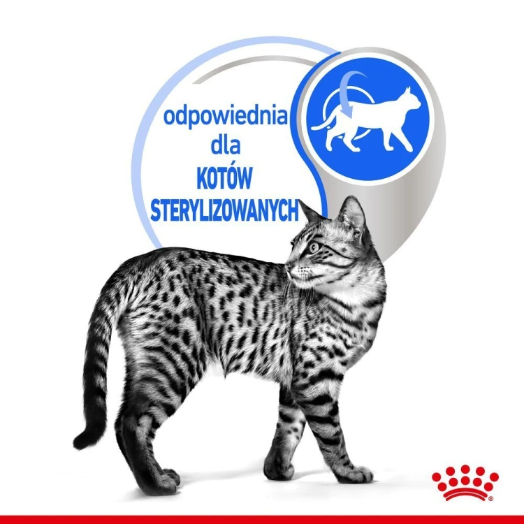 8a3b692bcbc0370f1e9ce3ba27919a16