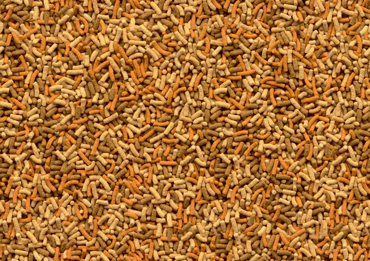 a630c472df795197655a277566c5fd01