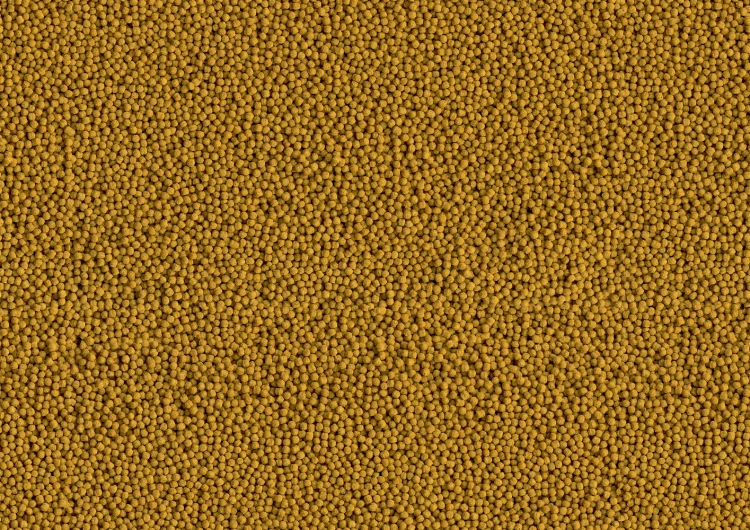 1d3e8aa893ac43ff6018f2e7e53f2fe6