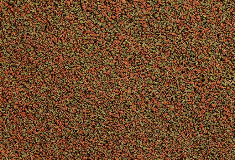 a1b2d288bf756ae56b8099f5f25d19be