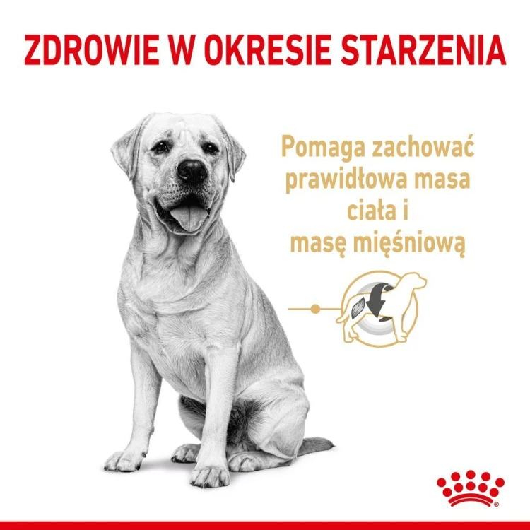 20baa7687d819a42f9114e2d4840c629