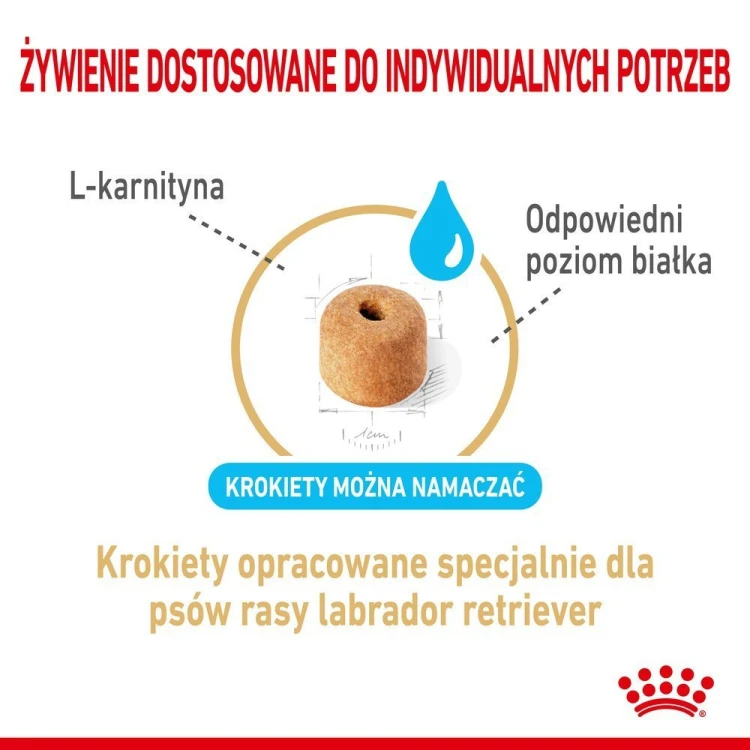 79297da1a8b5dfbd04dec49fa3856639