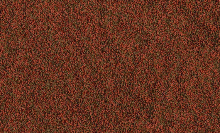 992167977623c0eecd2ea856813fc408