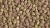 485253a108260757abaa114516029949