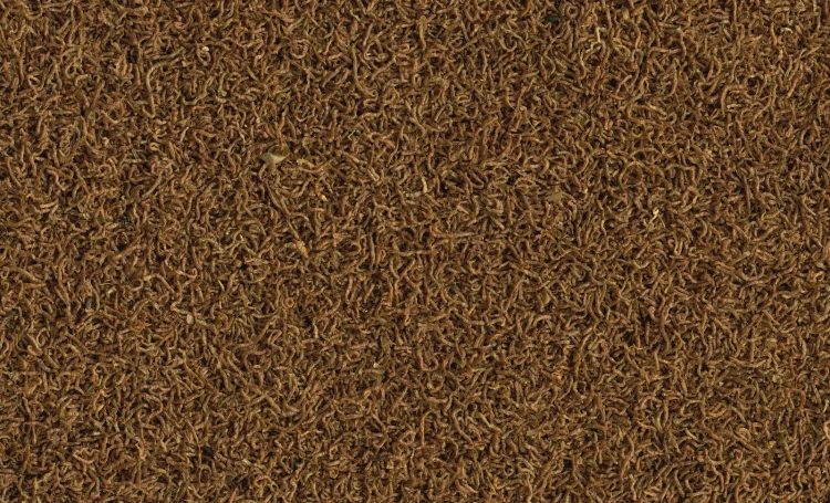 7a55ae5d7481e8864b8db2052b8094f0