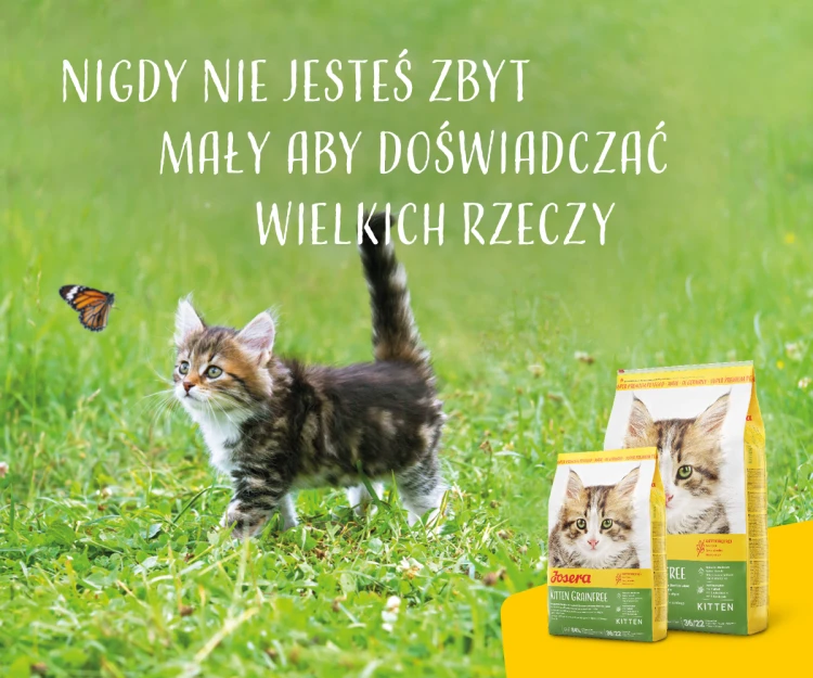 ac7a049d50558fcf241436d4ce17defa