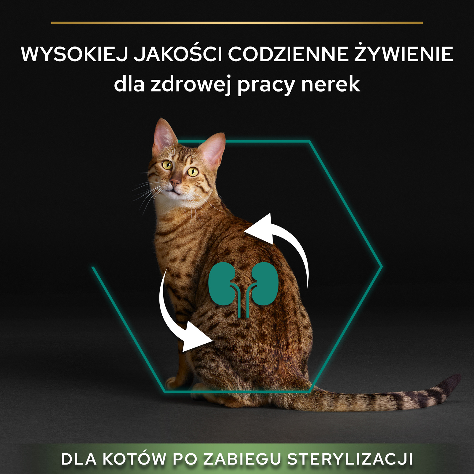 640483d3b52b93614902ae30ede23958