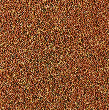 bd3893f7f2958480eea16121af8aa57e