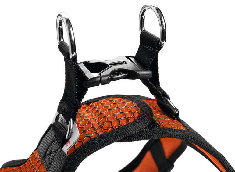 05e8b932a38cbb2a2fa189967f0fc519