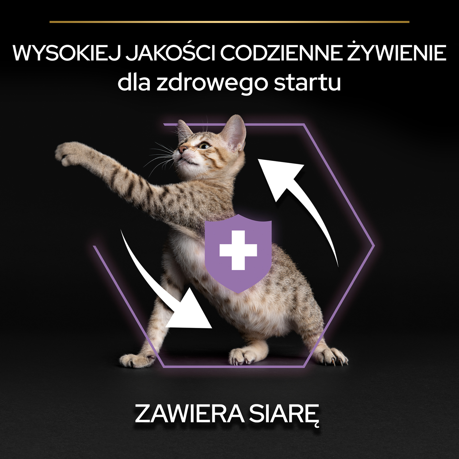 2c4d2a184d0b9e623e43b72979a21363