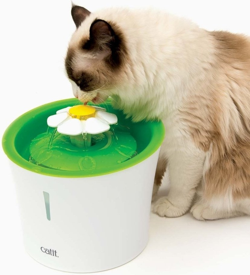1566047386246cf1b6c3eeec91f41a2f