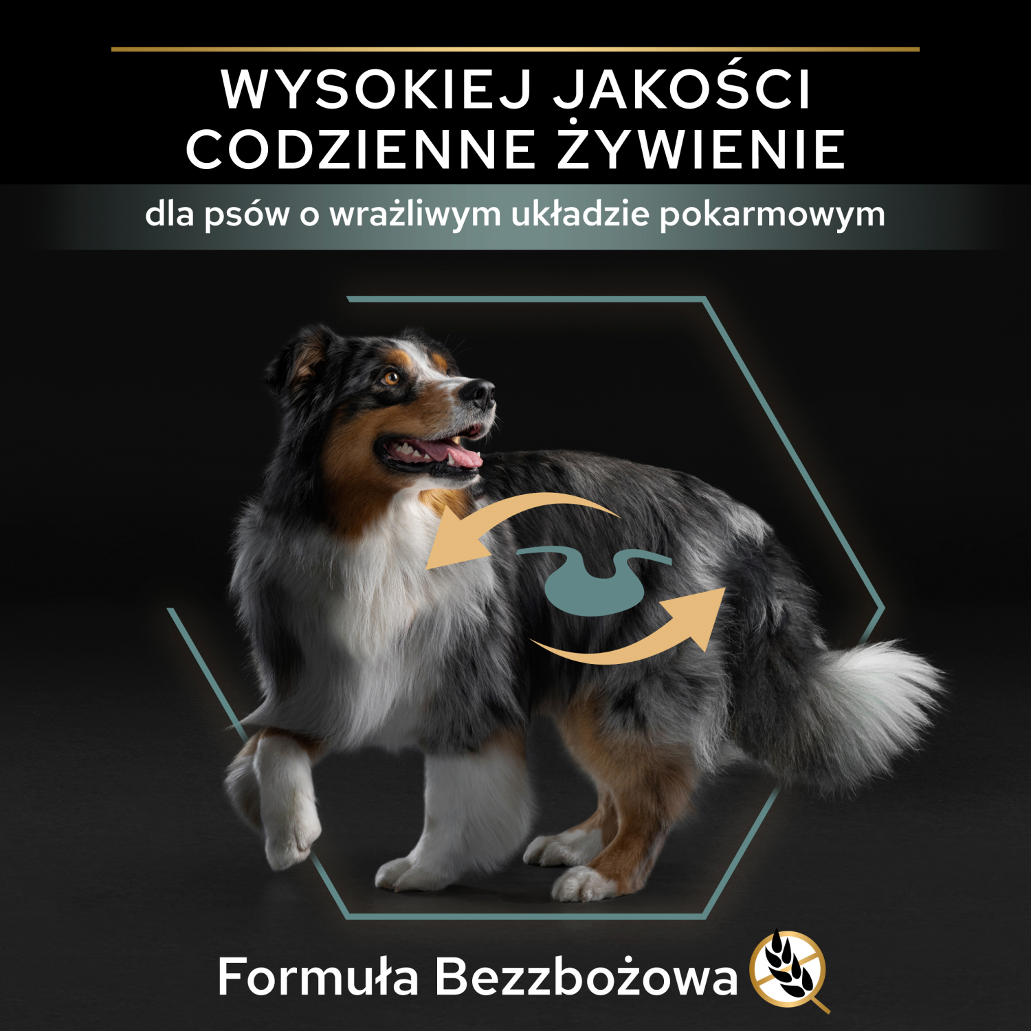 046882a3d2eb5c62f1570c14d9387ad1